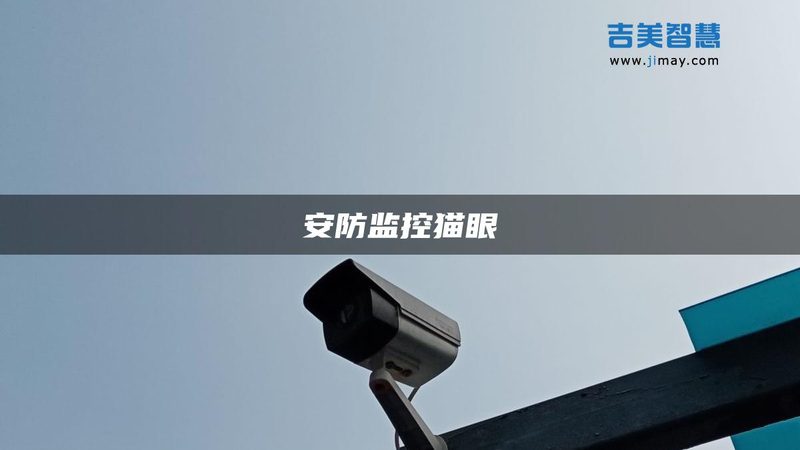 人脸识别楼宇对讲：双重保障下的便捷与挑战**