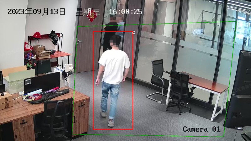报警器探头故障排查：实用参数检查指南**